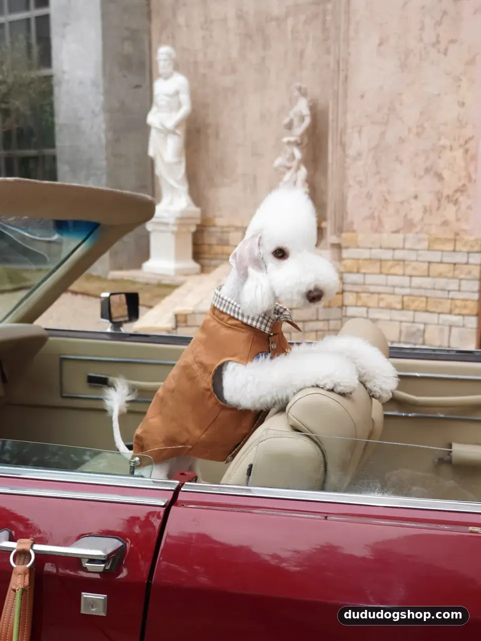 Dududog canine lifestyle collection ready for wholesale distribution